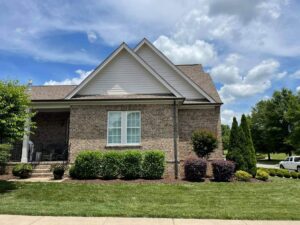 Exterior Painting in White Bluff